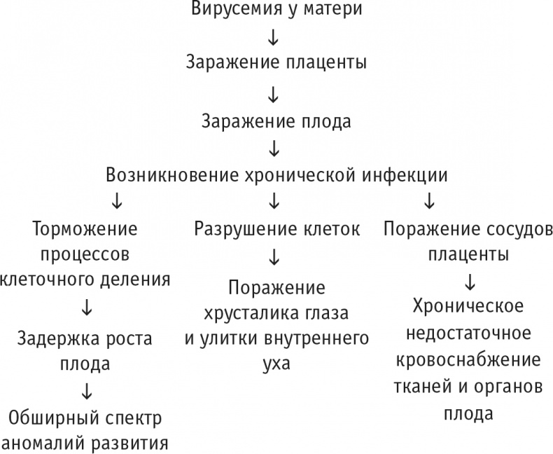 Многоликий вирус. Тайны скрытых инфекций