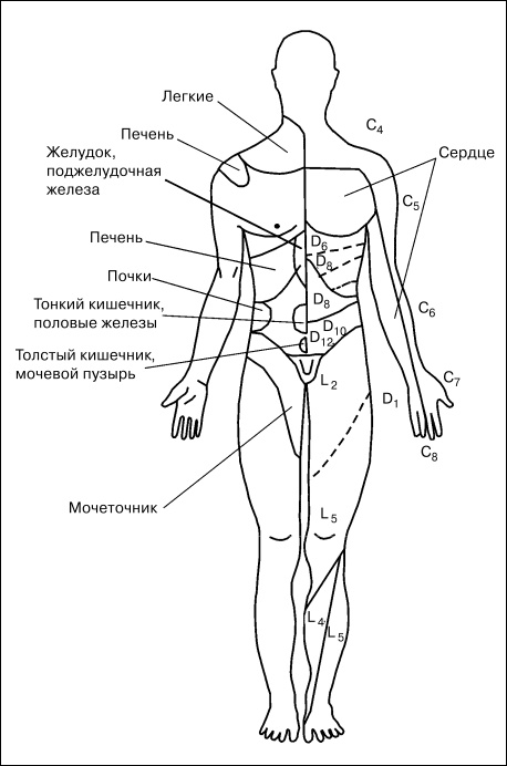 Массаж от классики до экзотики. Полная энциклопедия систем, видов, техник, методик