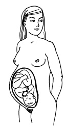 Буду мамой! Все о беременности и первом годе жизни малыша. 1000 ответов на 1000 главных вопросов