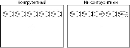 Тайны мозга вашего ребенка