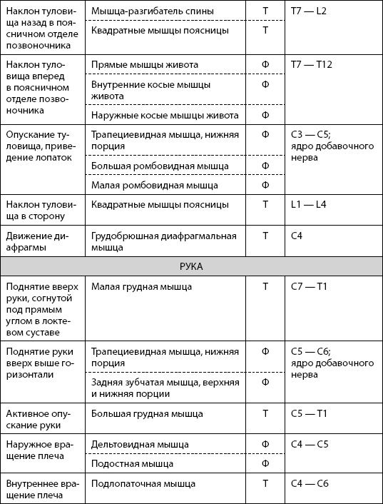 Скульптурная гимнастика для мышц, суставов и внутренних органов