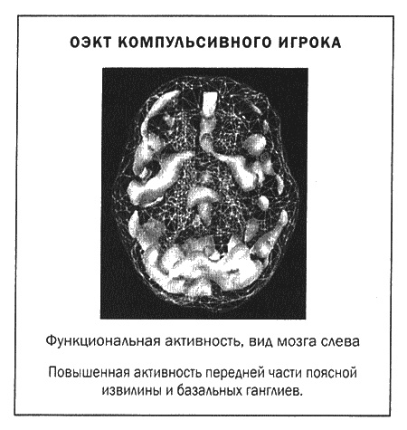 Мозг и душа. Новые открытия о влиянии мозга на характер, чувства, эмоции