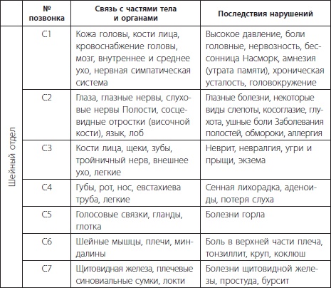 3 лучшие системы от боли в спине