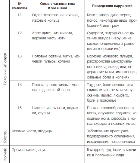 3 лучшие системы от боли в спине