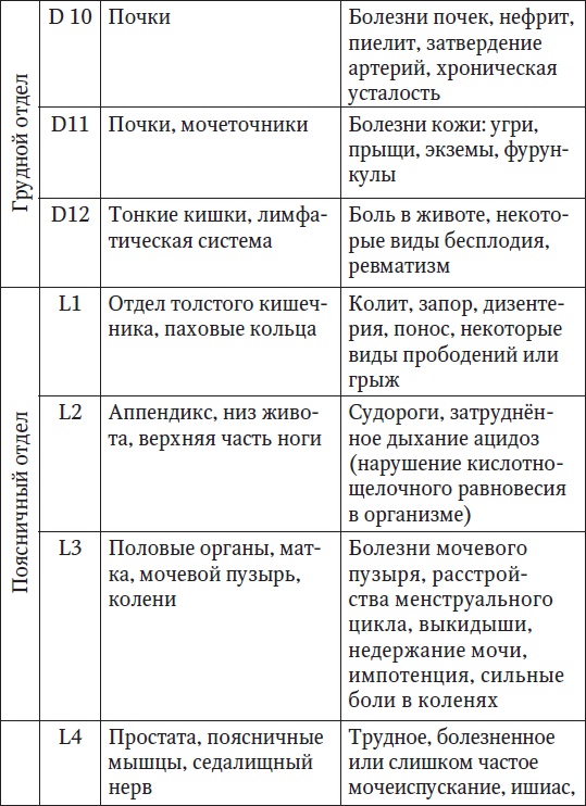 Ваш здоровый позвоночник