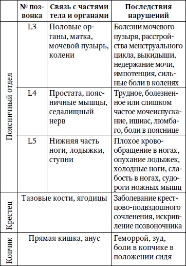 Лечим спину от грыж и протрузий