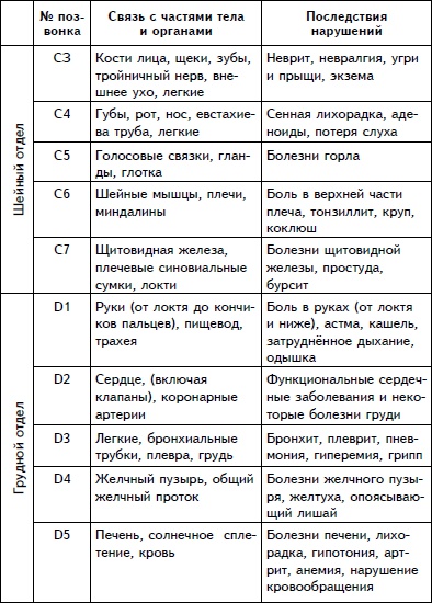 Упражнения для позвоночника. Для тех, кто в пути