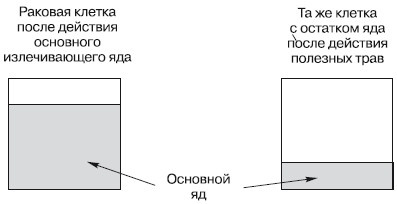 Рак. Практика исцеления и профилактика. Лечение ядами