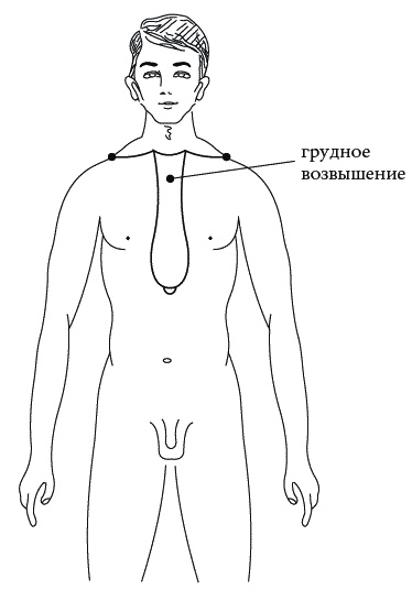 Экстренная помощь при травмах, болевых шоках и воспалениях. Опыт работы в чрезвычайных ситуациях