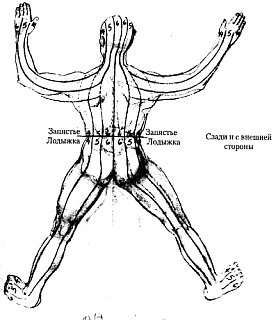 Энергетическая медицина