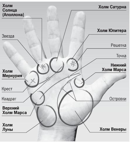 Курс начинающего лжеца от А до Я