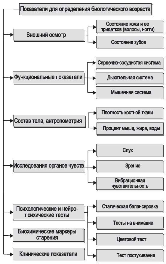 Ты - лжец. Как научиться обманывать и манипулировать другими людьми