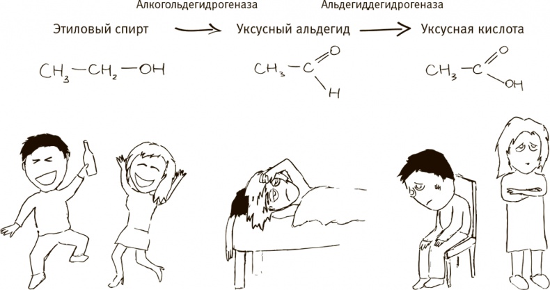 Кто бы мог подумать! Как мозг заставляет нас делать глупости