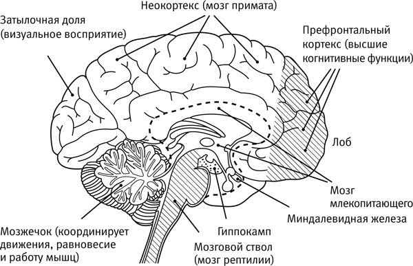 Легкий способ начать новую жизнь. Как избавиться от стресса, внутренних конфликтов и вредных привычек