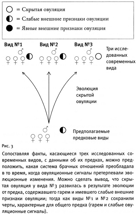 Почему нам так нравится секс