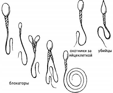 Любовь и секс. Как мы ими занимаемся