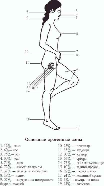 Ученые провели исследование эрогенных зон у мужчин и женщин из Европы и Африки - попечительство-и-опека.рф