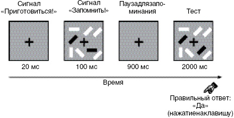 Антимозг. Цифровые технологии и мозг