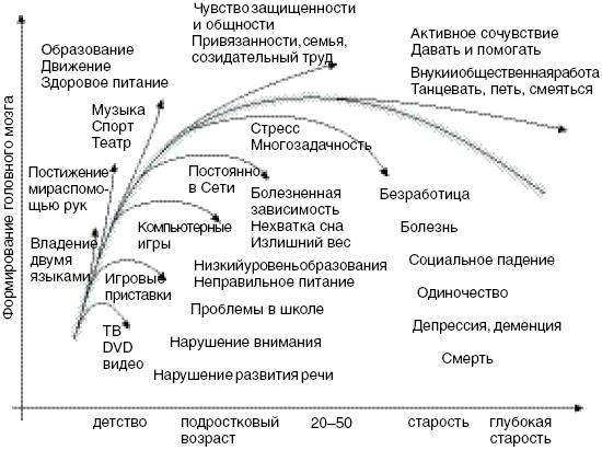 Антимозг. Цифровые технологии и мозг