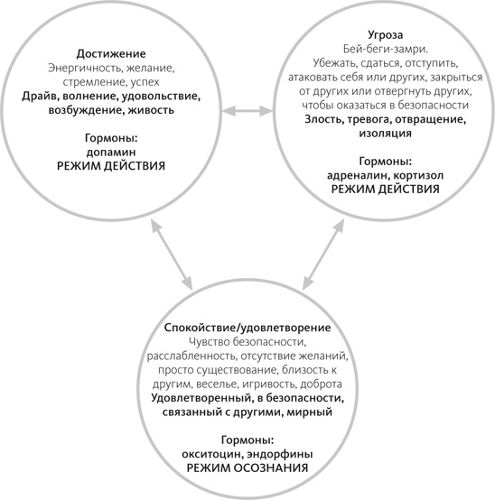 Осознанная медитация. Практическое пособие по снятию боли и стресса