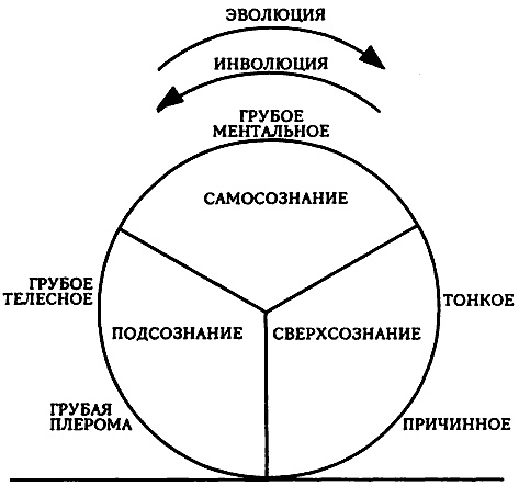 Проект Атман. Трансперсональный взгляд на человеческое развитие