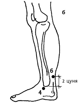 Большой атлас целительных точек. 200 упражнений для здоровья и долголетия