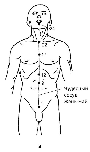 Большой атлас целительных точек. 200 упражнений для здоровья и долголетия