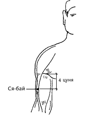 Большой атлас целительных точек. 200 упражнений для здоровья и долголетия