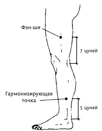 Большой атлас целительных точек. 200 упражнений для здоровья и долголетия