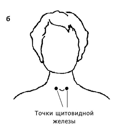 Большой атлас целительных точек. 200 упражнений для здоровья и долголетия