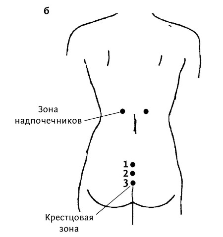 Большой атлас целительных точек. 200 упражнений для здоровья и долголетия