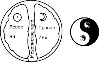 От болезни тела - к исцелению души. Почему мы болеем?