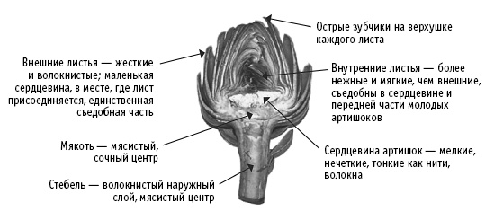 Покончим с диетами. Оптимальный вес за две недели на всю жизнь