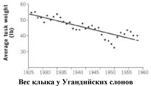 Самое грандиозное шоу на Земле. Доказательства эволюции