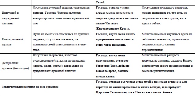 Жизнь на грани взлета, или Как перестать пережевывать и начать жить