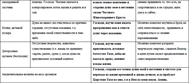 Жизнь на грани взлета, или Как перестать пережевывать и начать жить