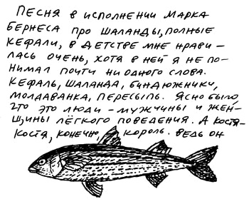 Заметки пассажира. 24 вагона с комментариями и рисунками автора