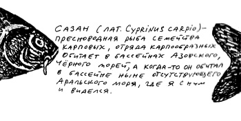 Заметки пассажира. 24 вагона с комментариями и рисунками автора