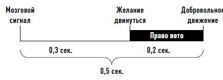 Мозг. Инструкция по применению. Как использовать свои возможности по максимуму и без перегрузок