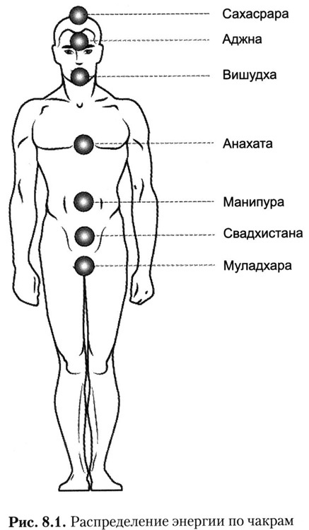 Где взять силы для успеха в любых делах и личной жизни