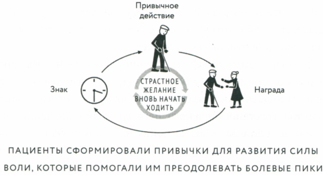 Сила привычки. Почему мы живем и работаем именно так, а не иначе