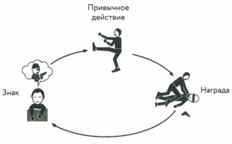 Сила привычки. Почему мы живем и работаем именно так, а не иначе