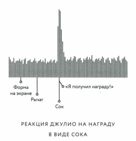 Сила привычки. Почему мы живем и работаем именно так, а не иначе