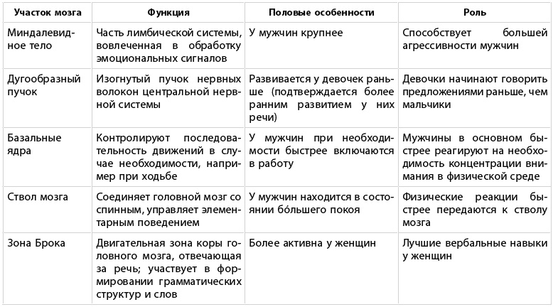 Какого пола ваш мозг?