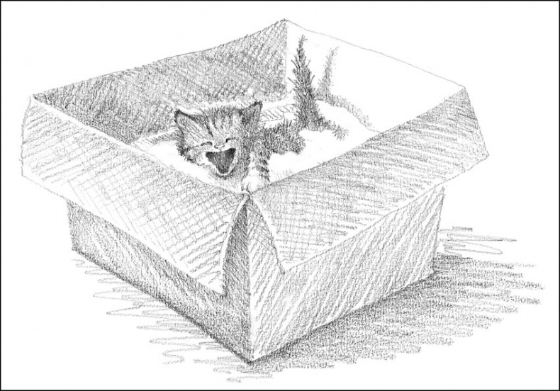 Котенок Пушинка, или Рождественское чудо