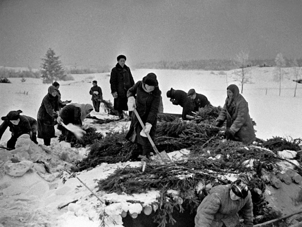 Блокада Ленинграда. Полная хроника - 900 дней и ночей