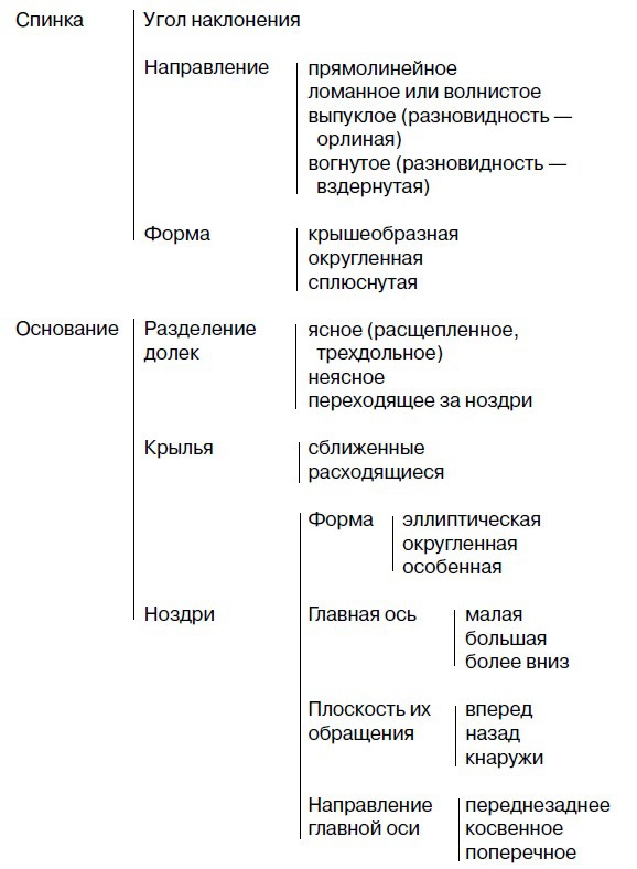 Физиогномика и выражение чувств