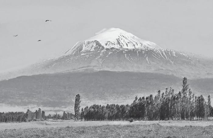 Великая степь. Приношение тюрка