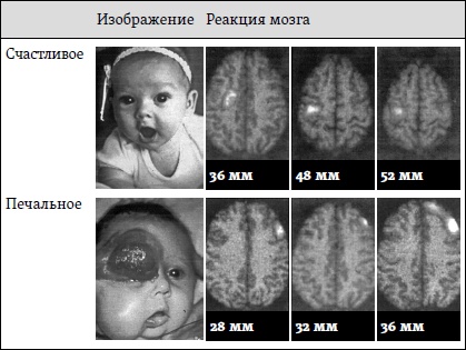 Счастье. Уроки новой науки