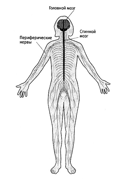 В поисках памяти